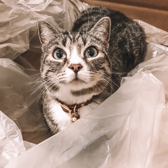 Meet your Posher, Jessica - Picture 5 of 6